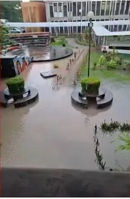 São Luís registra alagamentos após chuva intensa; veículos e estabelecimentos são atingidos